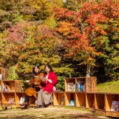 Vào rừng khám phá “Thư viện mùa thu” tại Karuizawa